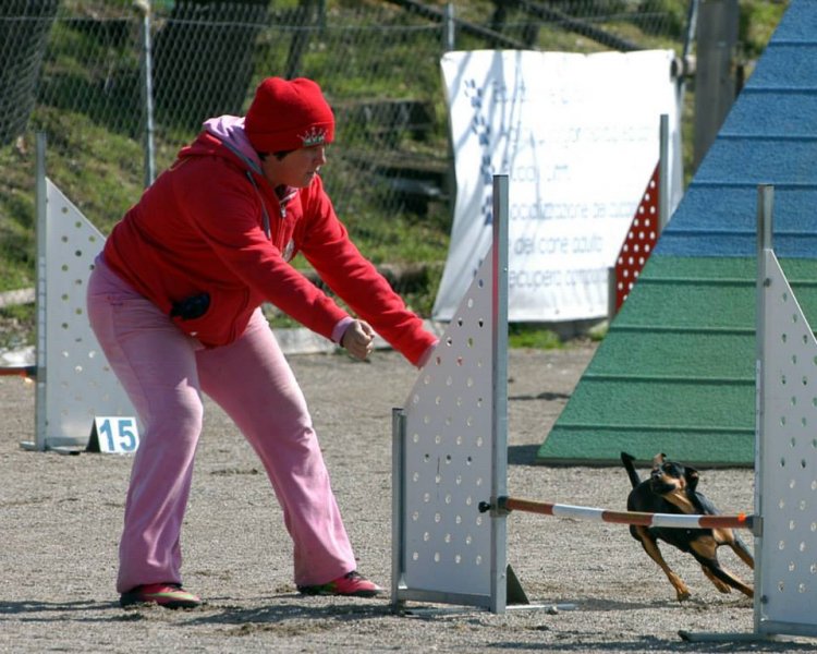 CHE VITA DA CANE ASD Foto 11