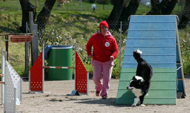 CHE VITA DA CANE ASD Foto 12