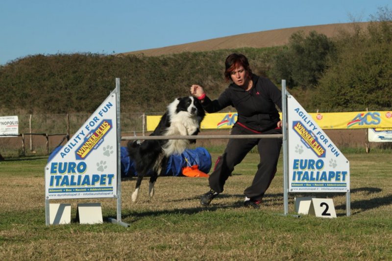 CHE VITA DA CANE ASD Foto 1