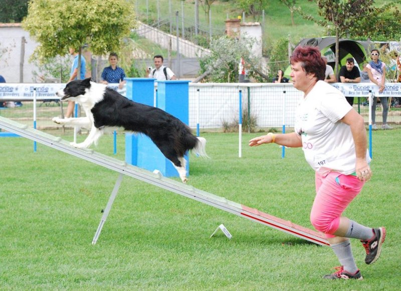 CHE VITA DA CANE ASD Foto 9