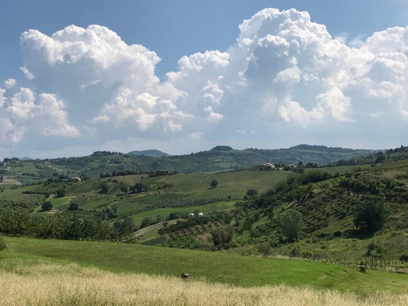 Comunità alloggio per anziani Ciclamino Foto 