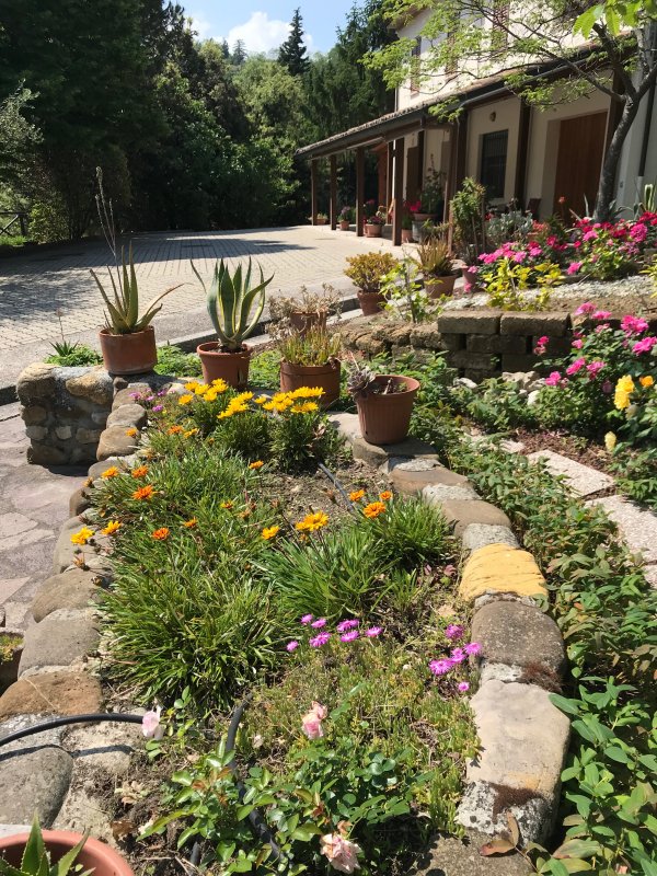 Comunità alloggio per anziani Ciclamino Foto 