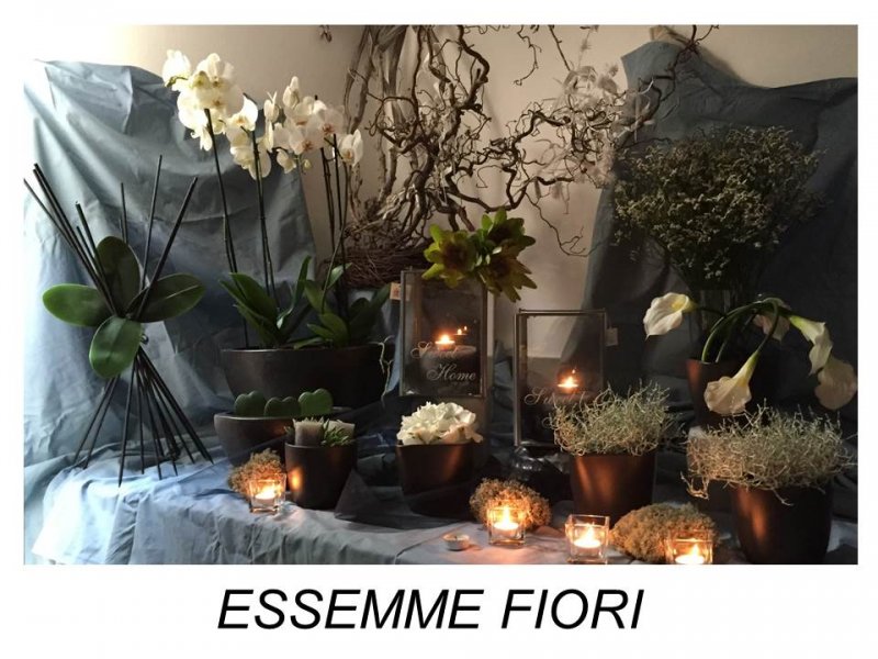 Essemme Fiori Foto 14