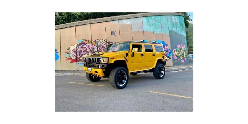 MY LIMOUSINE Foto 