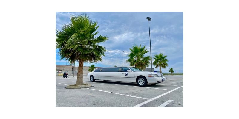 MY LIMOUSINE Foto 