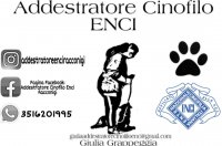 Logo Addestratore Cinofilo ENCI 
