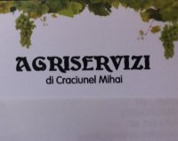 Logo Agriservizi di Craciunel Mihai 