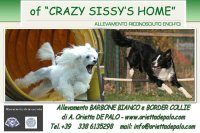 Logo Allevamento OF CRAZY SISSY HOME