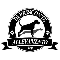 Logo Allevamento di Prisconte