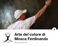 Logo Arte del Colore di Mosca Ferdinando 