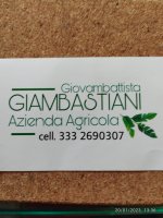 Logo Azienda agricola Giambastiani Giovambattista 