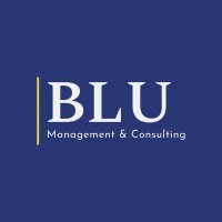Logo BLU MANAGEMENT e CONSULTING SRLS