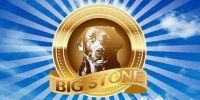 Logo Big Stone Labrador