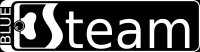 Logo Blue Steam 