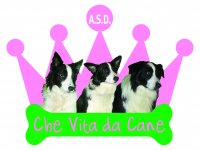 Logo CHE VITA DA CANE ASD
