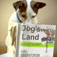 Logo Centro cinofilo Dogs Land