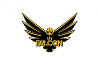 Logo Falcon Edil