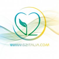 Logo G2Italia