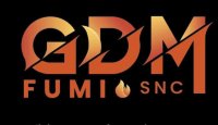 Logo GDM Project