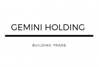 Logo Gemini Holding