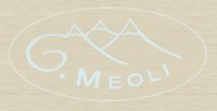 Logo Geologia Meoli