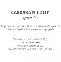 Logo Geometra Carrara Nicolò