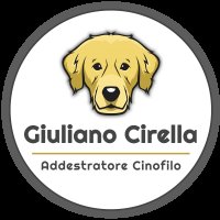 Logo Giuliano Addestratore