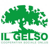 Logo Il Gelso Cooperativa Sociale Onlus