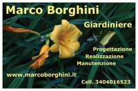 Logo Marco Borghini