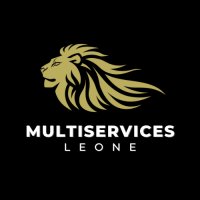 Logo Multiservices Leone SRLS