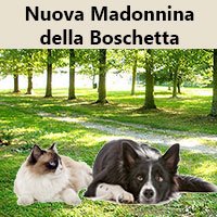 Logo Nuova Madonnina della Boschetta