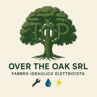 Logo Over The Oak Srl