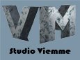 Logo Studio Viemme