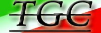 Logo Tatangeli e Grimaldi Costruzioni srl