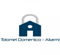 Logo Tolomei Domenico Allarmi