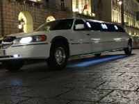 Logo Torino Limousine