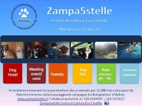 Logo Zampa5stelle 