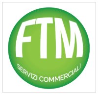 Logo FTM srls