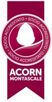 Logo ACORN MONTASCALE SRL