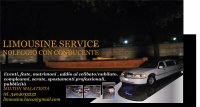 Logo limousine service lucca