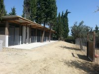 Logo pensione allevamento piccolo ranch