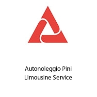 Logo Autonoleggio Pini Limousine Service