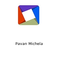 Logo Pavan Michela
