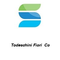 Logo Todeschini Fiori  Co