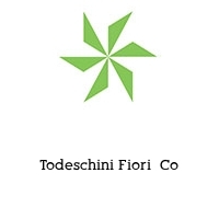 Logo Todeschini Fiori  Co