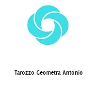 Logo Tarozzo Geometra Antonio