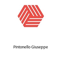 Logo Pintonello Giuseppe 