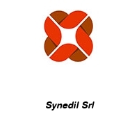 Logo Synedil Srl