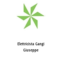 Logo Elettricista Gangi Giuseppe