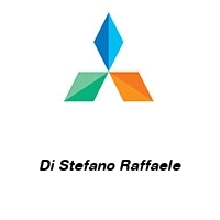 Logo Di Stefano Raffaele